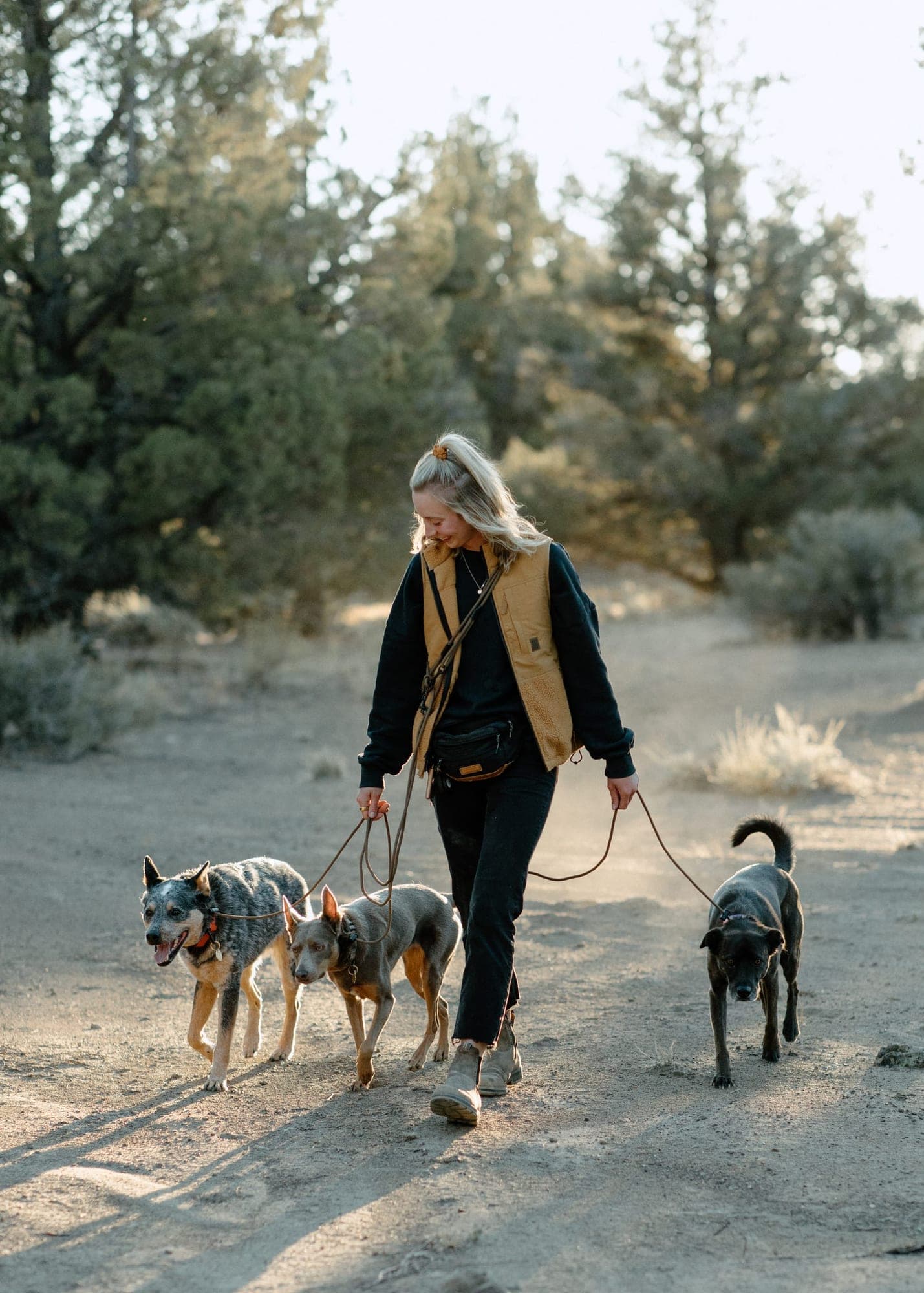 Person walking three dogs on a dirt trail with a hands free slip leash